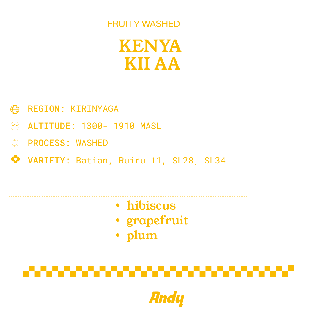Kenya KII AA – Andy Roasters