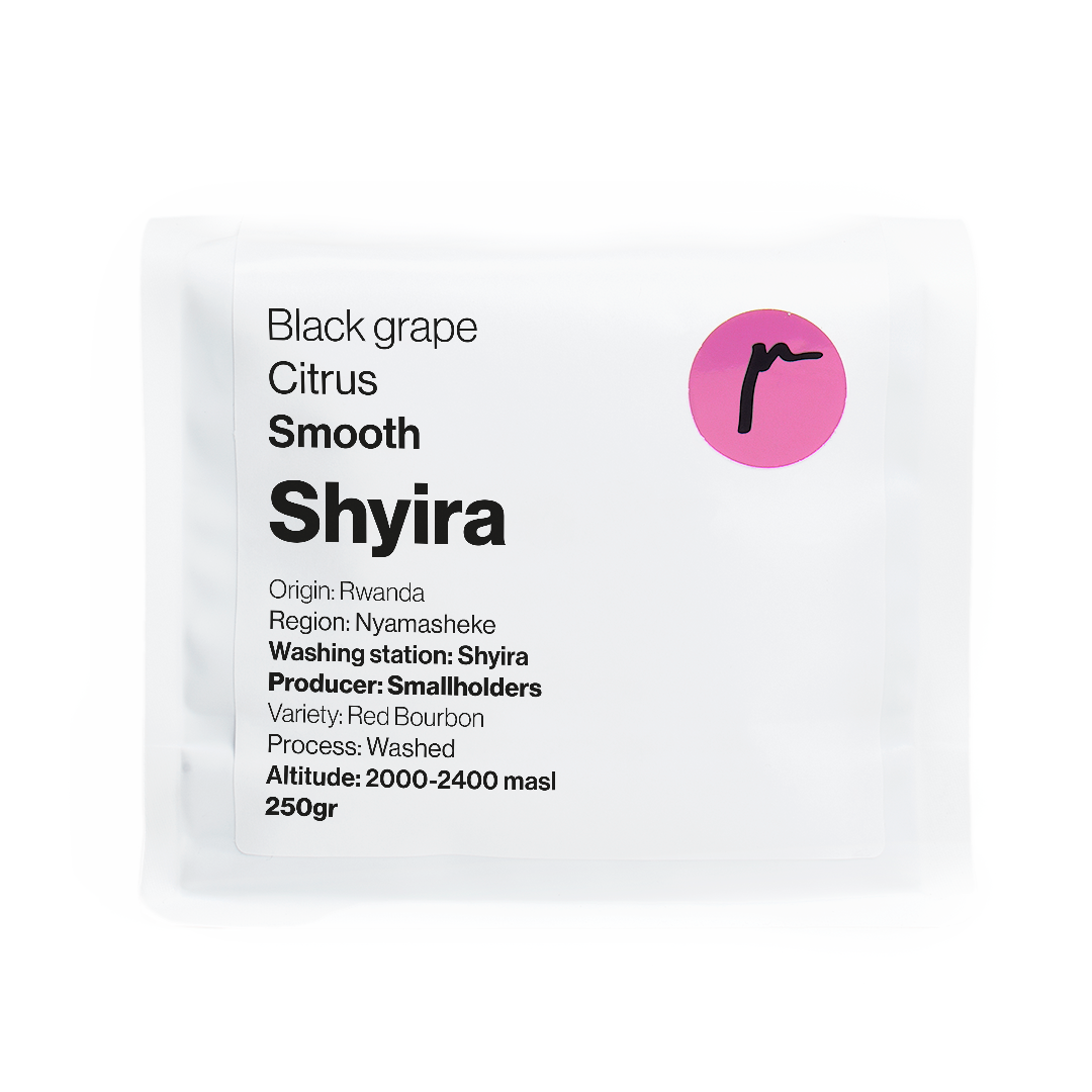 Replica Roasters Shyira Washed bag