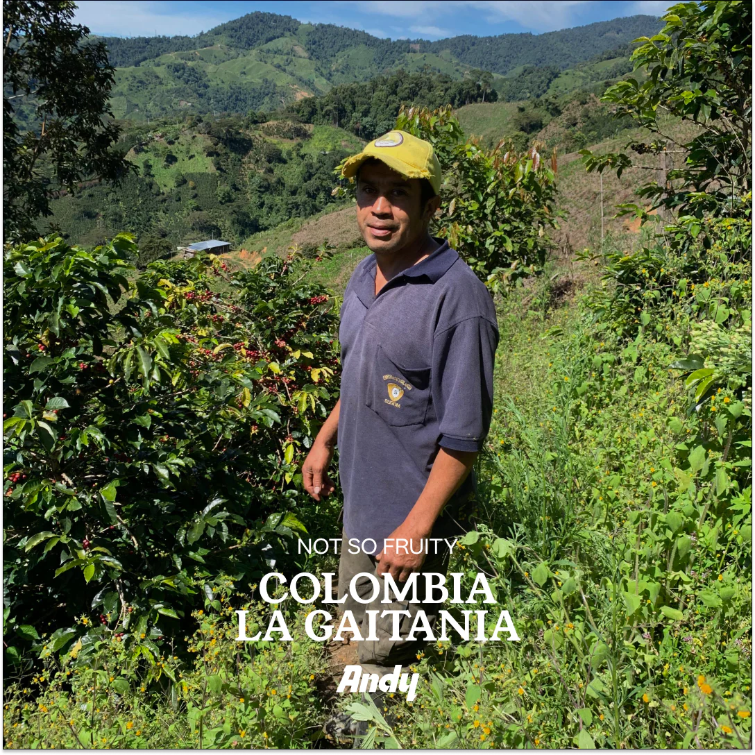 Espresso Colombia, Gaitania (Not so fruity)