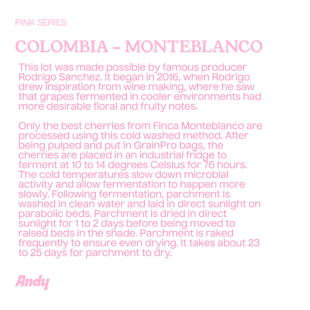 Filter, Monteblanco, Rodrigo Sanchez (Pink series)
