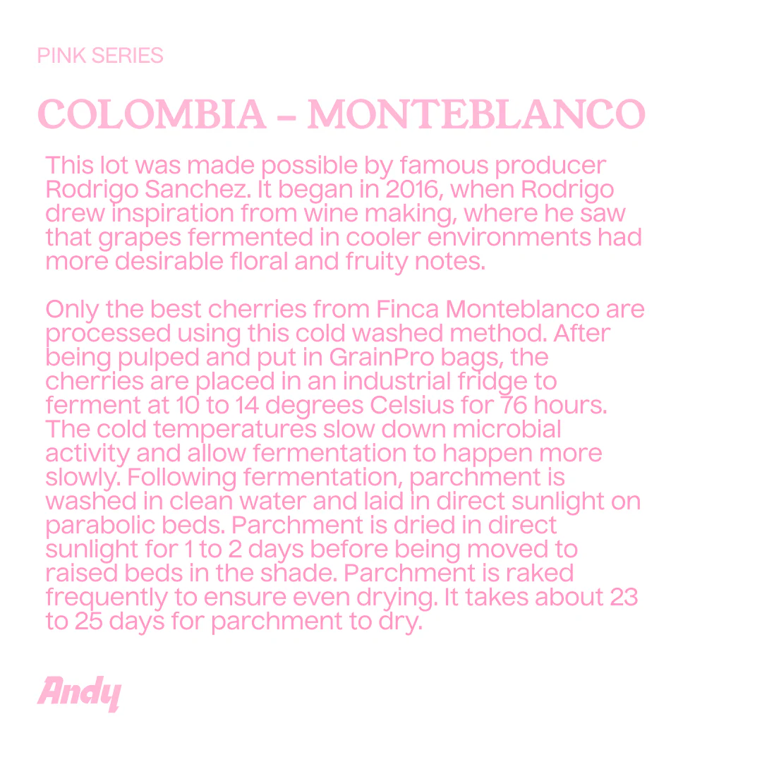 Filter, Monteblanco, Rodrigo Sanchez (Pink series)