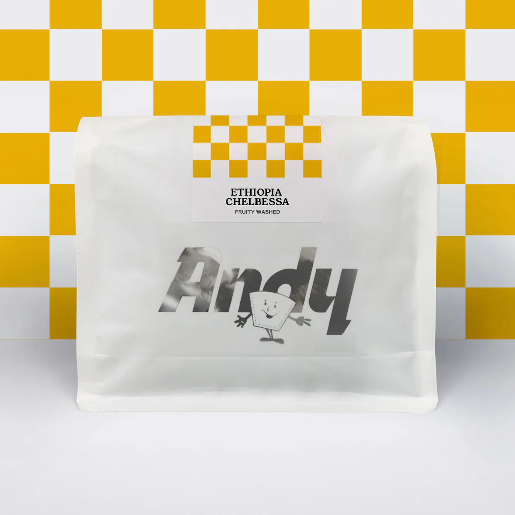 Filter, Ethiopia Chelbesa (Fruity Washed)