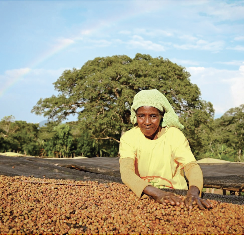 Filter Ethiopia Haro Wachu