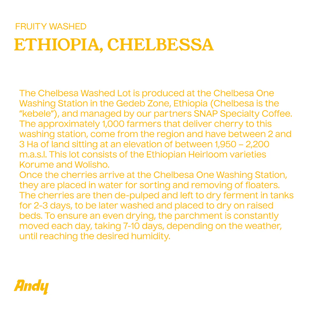 Filter, Ethiopia Chelbesa (Fruity Washed)