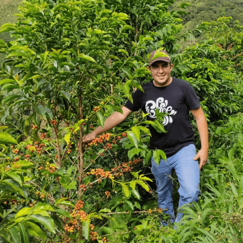 Espresso Colombia Las Flores