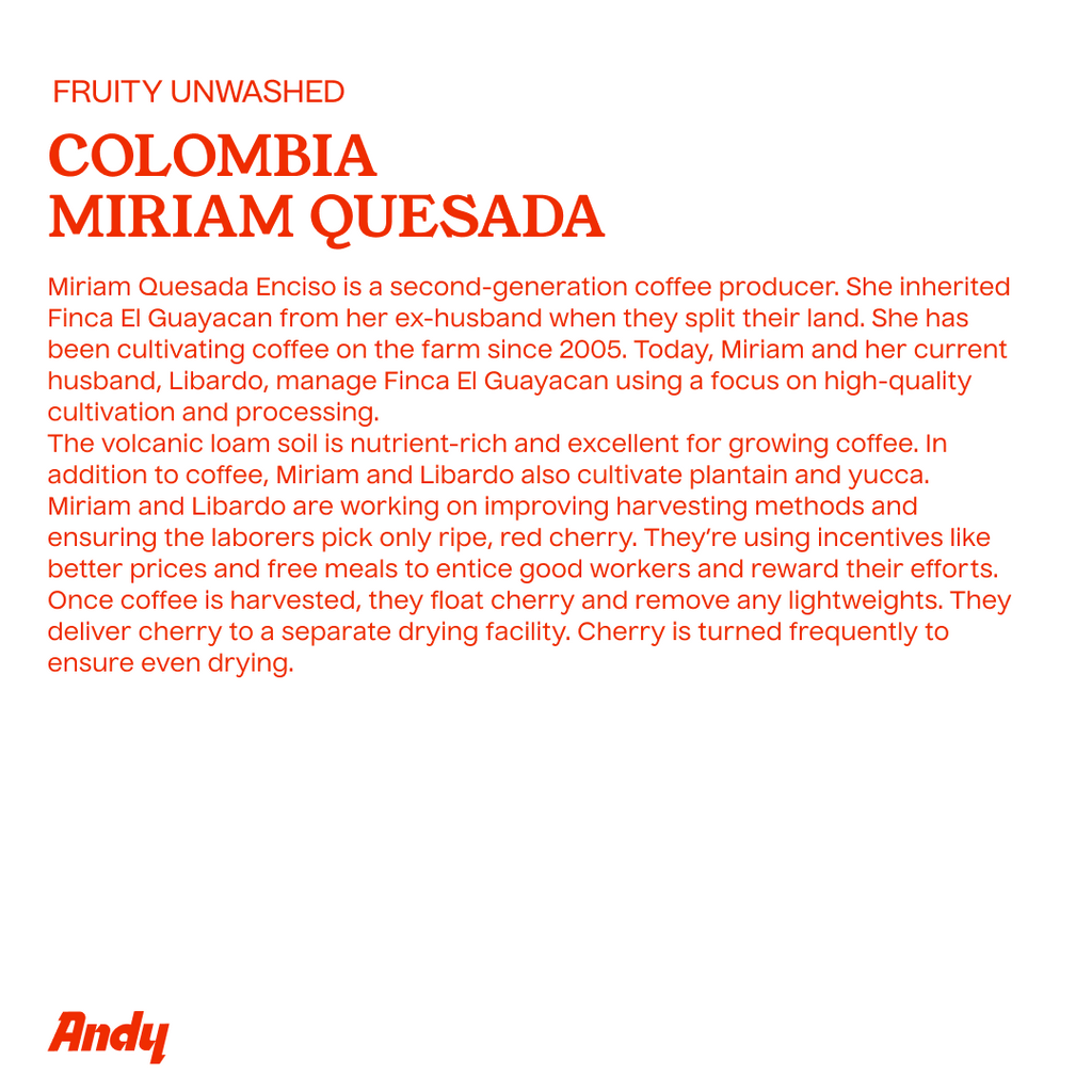 Filter, Colombia Miriam Quesada (Fruity Unwashed)