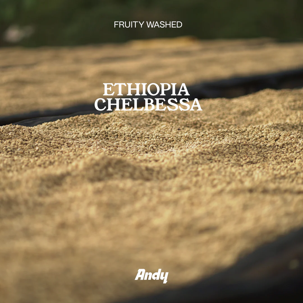 Filter, Ethiopia Chelbesa (Fruity Washed)
