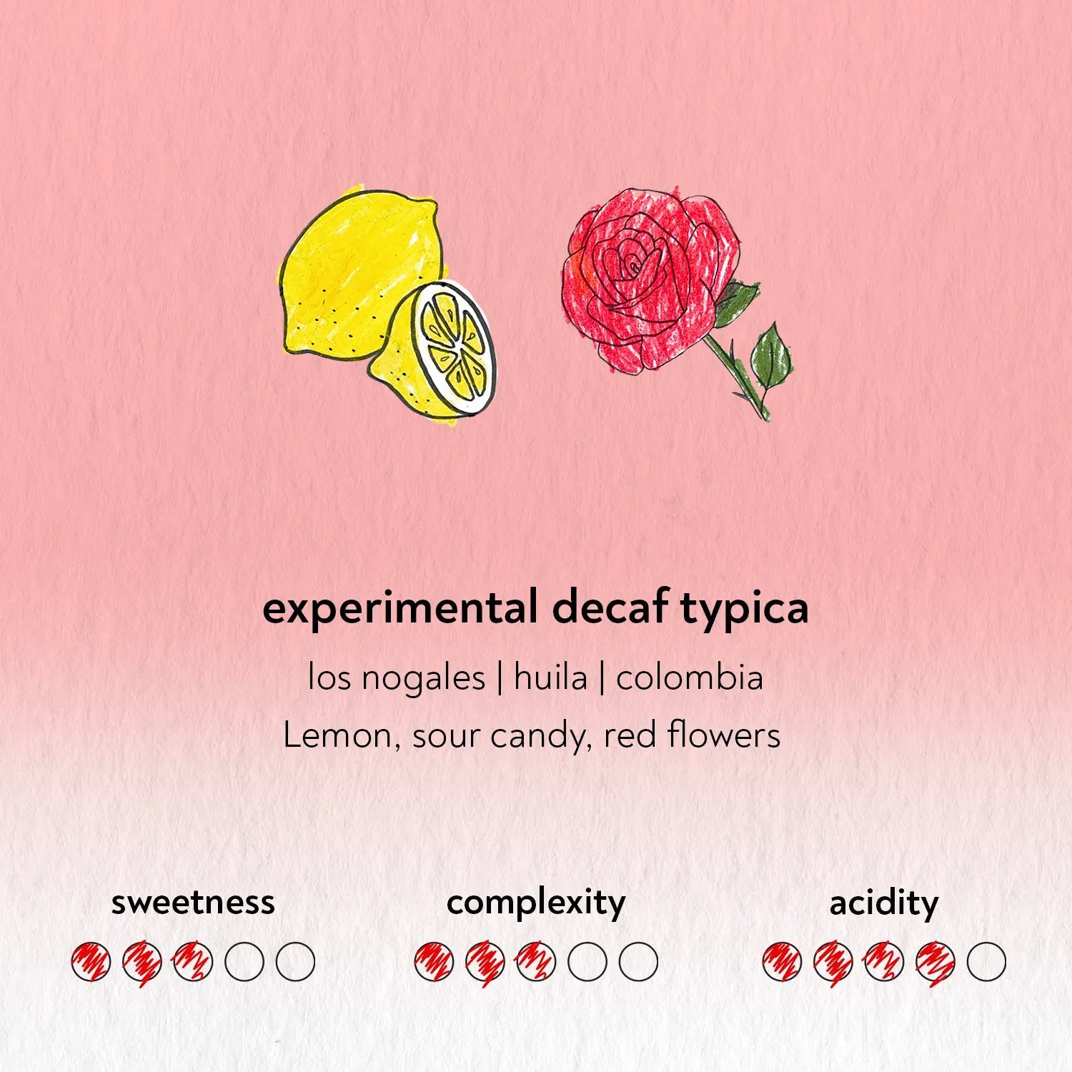 Sandbox Coffee Experimental Decaf Typica info card