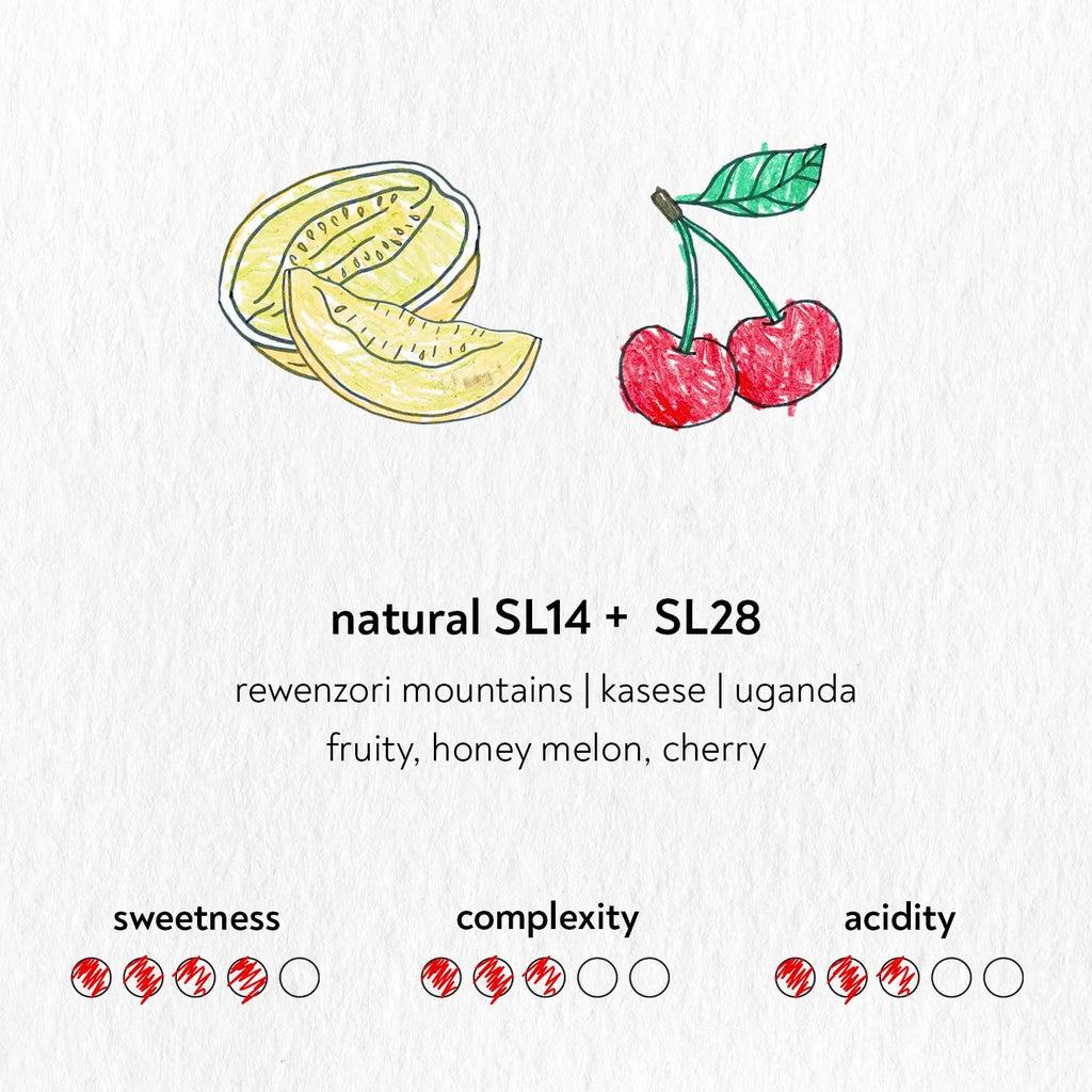 Sandbox Coffee Natural SL14+SL28 info card