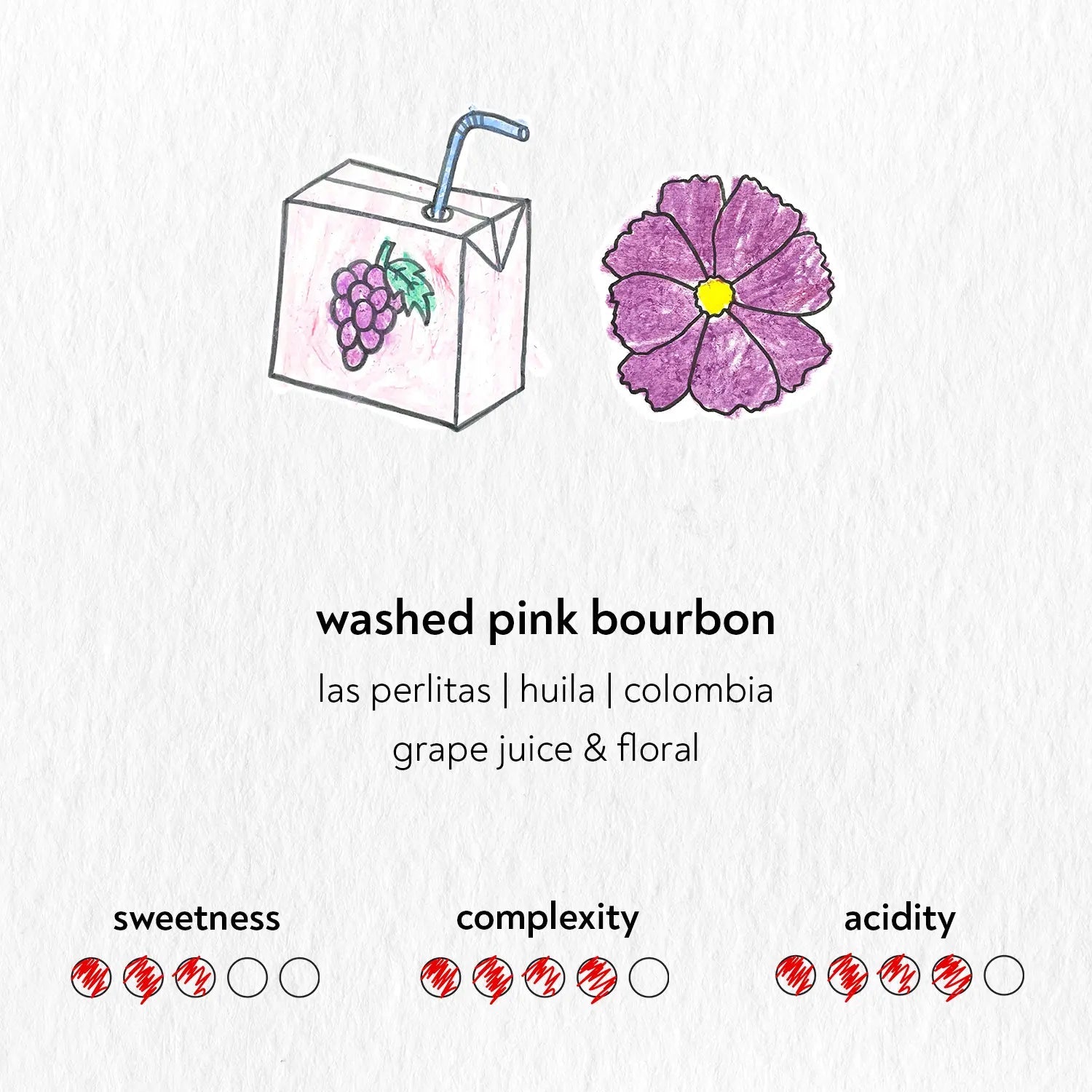 Filter, Washed Pink Bourbon (Sandbox)